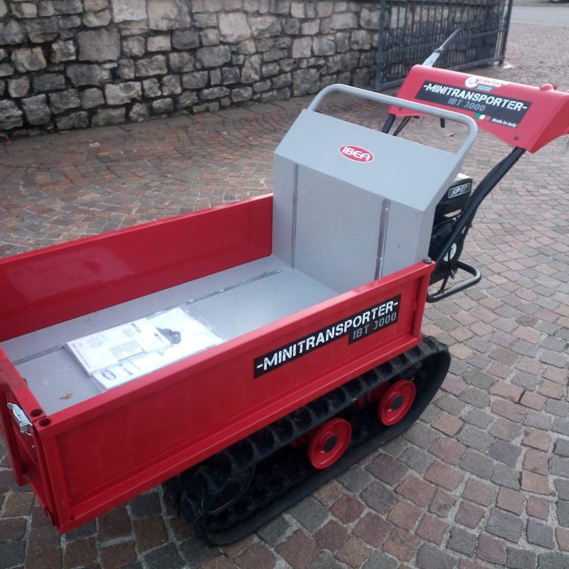 MOTOCARRIOLA IBEA IBT3000